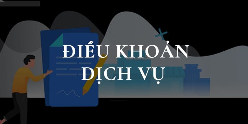 Cập nhật điều khoản 7m